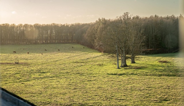 Elie House (No 12) | Elie