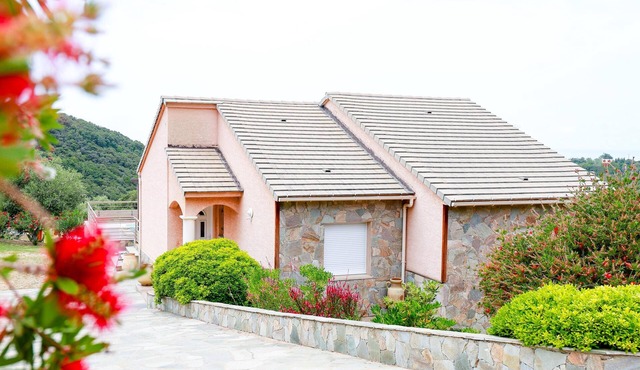 Elite Villa Elite Villa