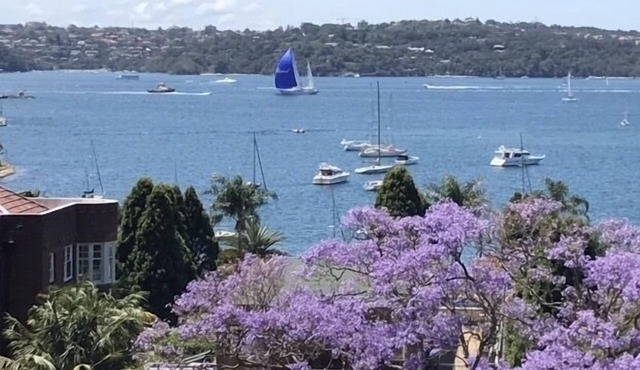Elizabeth Bay, Sydney Harbour - Great Views!