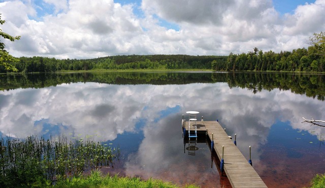 Elk Crossing On Lower Clam Lake