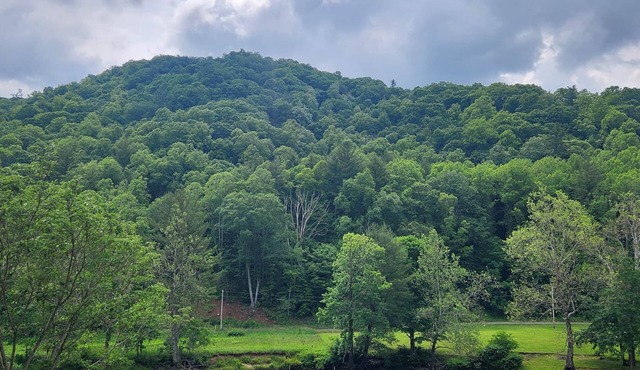 Elk Falls Riverhouse - Mountain Retreat