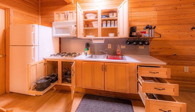 Elk Hollow Cabin with CHARM Backs National Forest, WIFI, stocked kitchen, BBQ