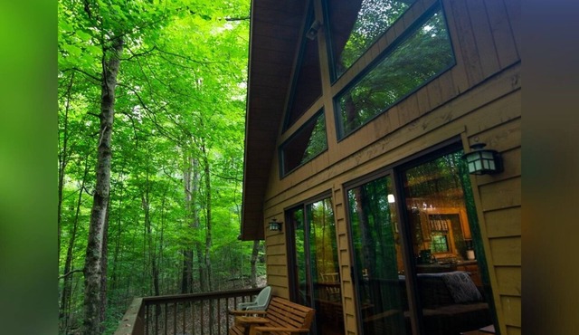 Elk - Hosted by The Chalets