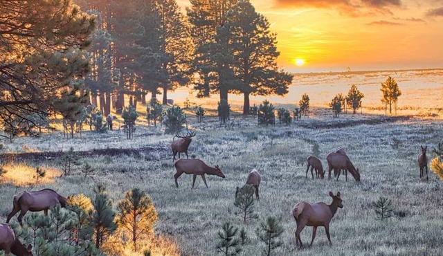 Elk Mountain at Laney Lane