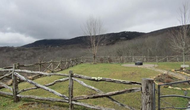 Elkmont 314-D 162-D Condo