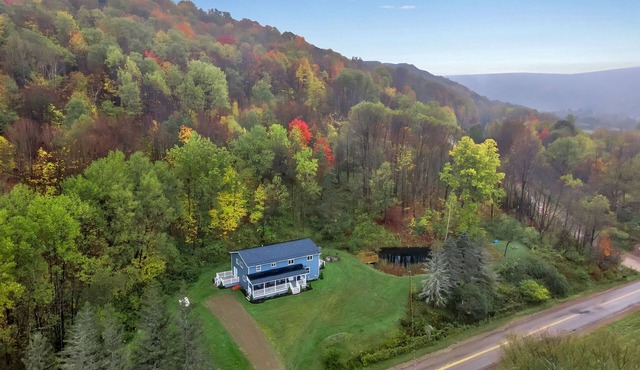 Ellicottville Chalet 3 Miles From Village on a secluded lot w/pond