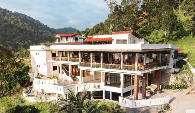 ELLIN FOREST 叶の森