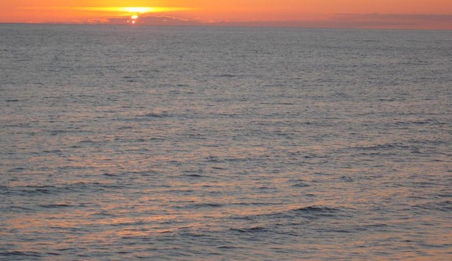 Elling Zolotaya Dolina