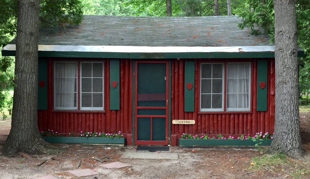 Ellis Lake Resort - Cedar Log Cabin - Interlochen/Traverse City