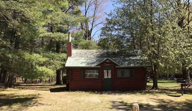 Ellis Lake Resort - Doghouse Log Cabin-Interlochen/Traverse City