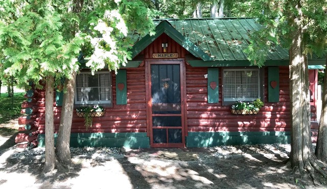 Ellis Lake Resort - Maple Log Cabin-Interlochen/Traverse City