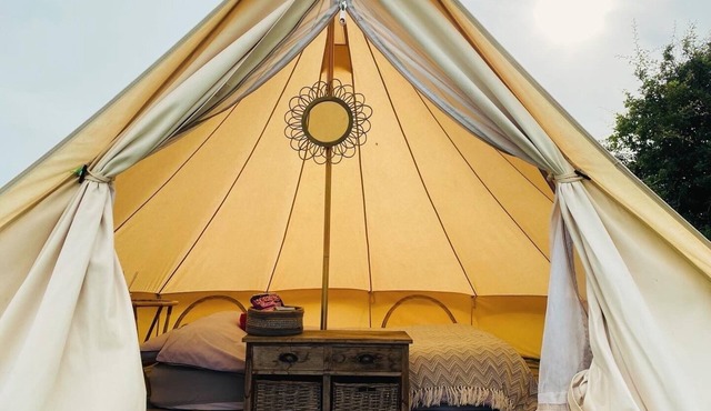 Elm - Bell tent 2-4 person Anglesey, North Wales
