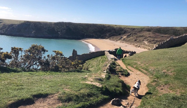 Elm Grove Country House