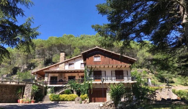 Els Avets de la Muga