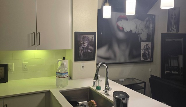 Elvis' love chamber private and quiet and crazy amenities