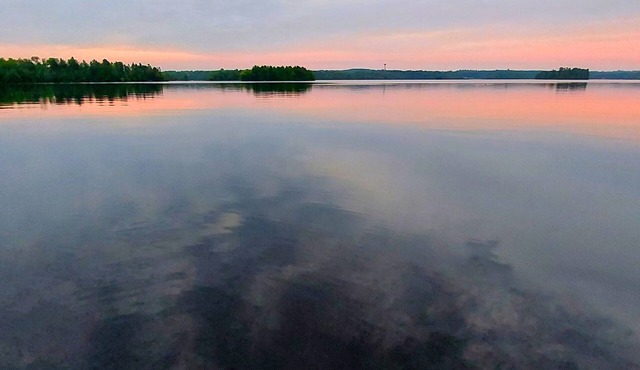 Ely Lakeside Cabin: The Perfect Northwoods Retreat