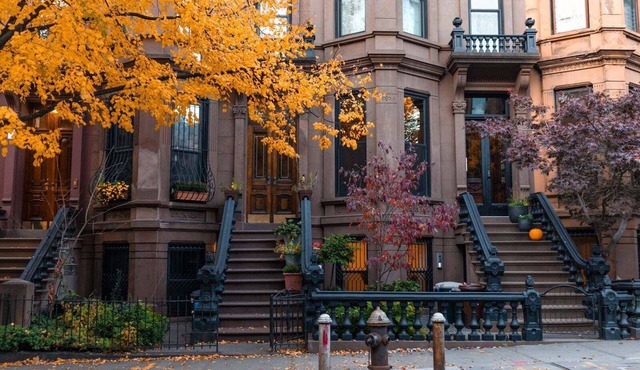 Elysian is conveniently located in University Circle, overlooking MLK Park.
