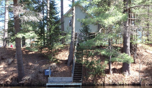 Elysian River Escape: Fly-Fishing Paradise on the Manistee River!