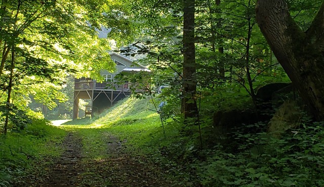 Elysium Falls deep in the Laurels