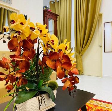 EM Rumah Inap SueKori Jeli