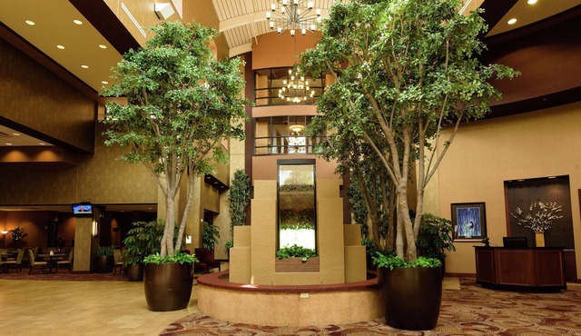 Embassy Suites by Hilton Minneapolis North