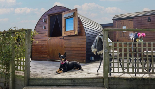 EMBDEN POD AT BANWY GLAMPING, pet friendly in Llanfair Caereinion