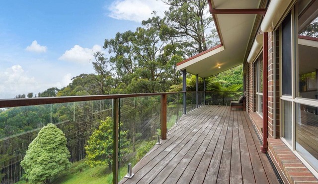 Embrace Nature's Beauty in Ferny Creek