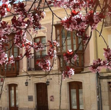 Emebed Posada