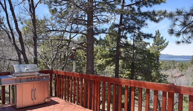 Emerald Alps by Destination Big Bear : Lake and Mountain Views! Hot Tub! Foosball! Gas BBQ! Close to Bear Mtn!