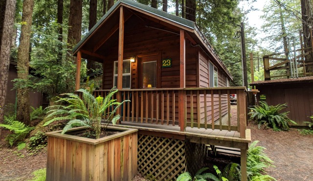 Emerald Forest Cabins