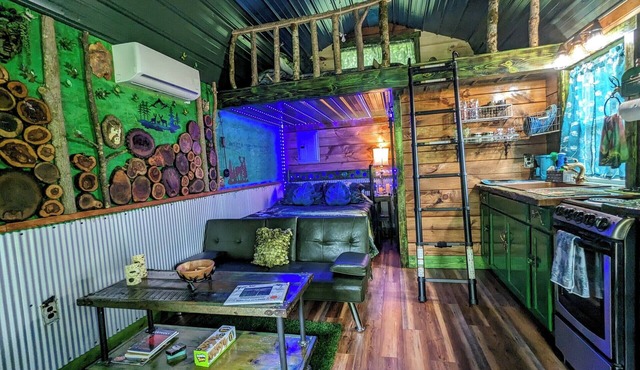 Emerald Forest ~ Magical forest themed cabin in Daniel Boone Forest along river!