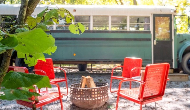 Emerald Gypsy Skoolie. a Quirky Chic School Bus
