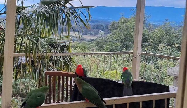 Emerald Kookaburra Hideaway