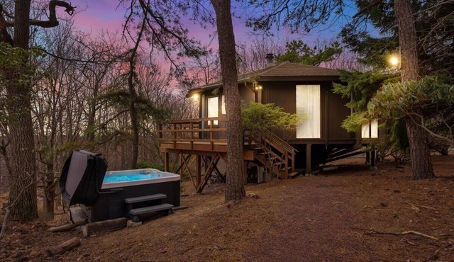 Emerald Lake Modern Treehouse | Hot Tub | Firepit
