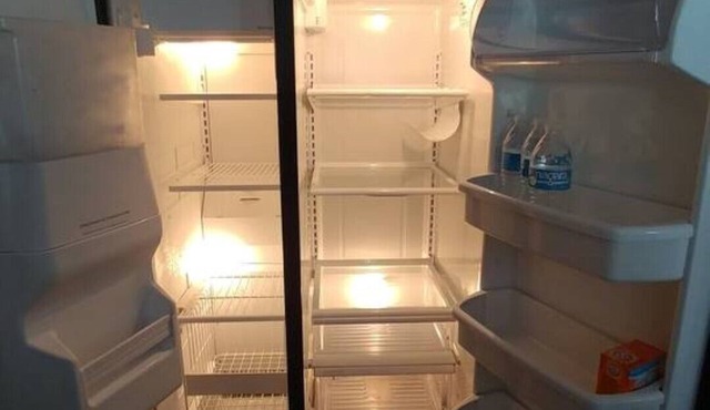 EmeraldShinobi Haus+ w/NoiseAware