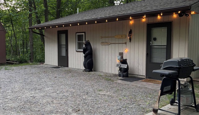 Emily Channel Cabin on the water with ATV trail access from your doorstep!