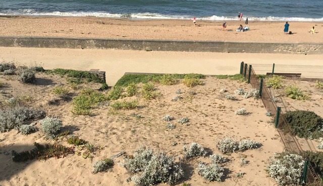 En Bord de Mer, vue et Accès Direct à la Plage