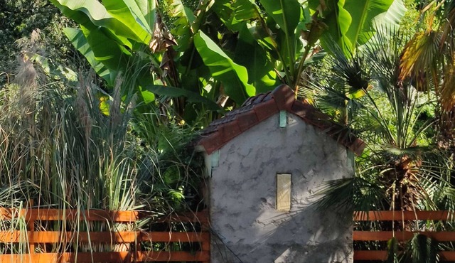 En plein coeur de la forêt