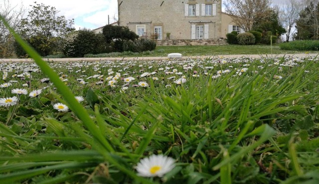 En Richard - Auriac-sur-Vendinelle