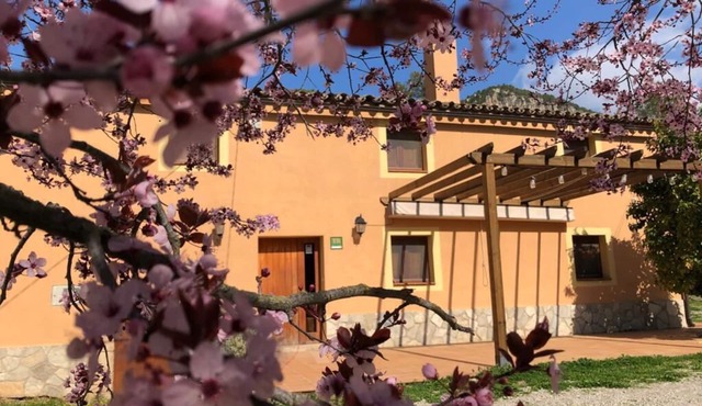 En verano, consultar antes de reservar. Se priorizan reservas de larga estada.