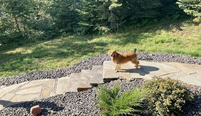 Encampment Trailside 4Plex Suite | Access to Gooseberry Park | Pets | Lake View