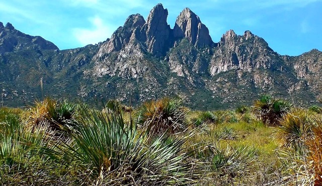 Encanto de Mesilla - Comfort and Taste!