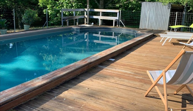 Enchanted escape, home in the heart of the forest