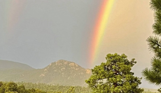 Enchanted Forest Retreatn3 Bed · 2 Bath · 20 Minutes from Downtown Santa Fe