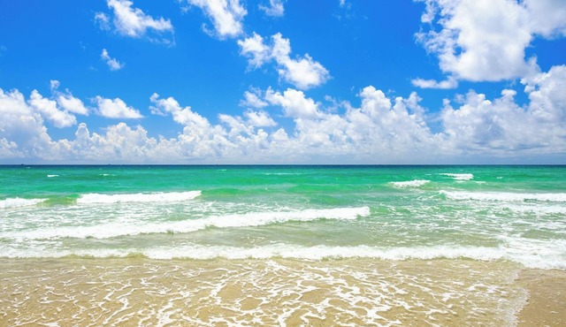 Enchanted Isle Resort 1 Bedroom Kitchen sleeps 4n Avail Holiday Weeks 51 & 52