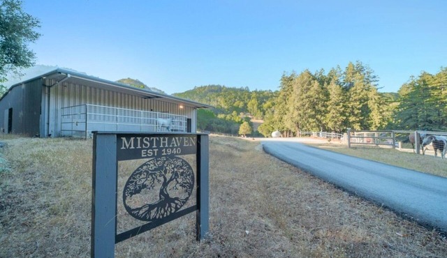 Enchanted Redwood Retreat Nature Suite