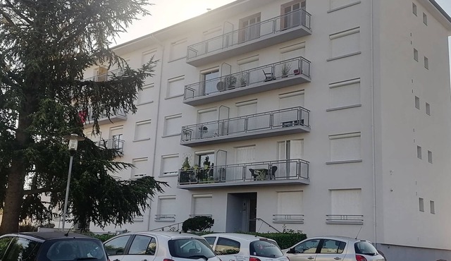 Enchanting 1-bedroom apartment in Roanne with WiFi access