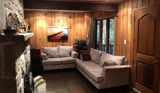 Enchanting Family/Work Escape (with high speed wi-fi)!