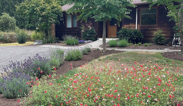 Enchanting meadow retreat 2-bedroom cottage on beautiful Whidbey Island