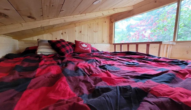 Enchanting Tiny Cabin in the Woods!